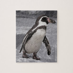 Walking Penguin Puzzle