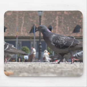Walking pigeons mouse mat
