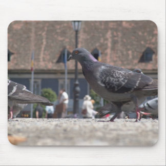 Walking pigeons mouse mat