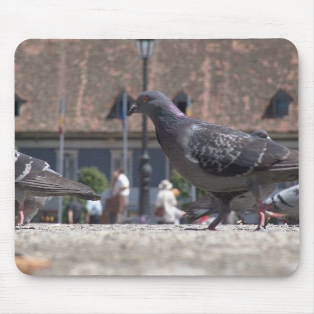 Walking pigeons mouse mat (Front)