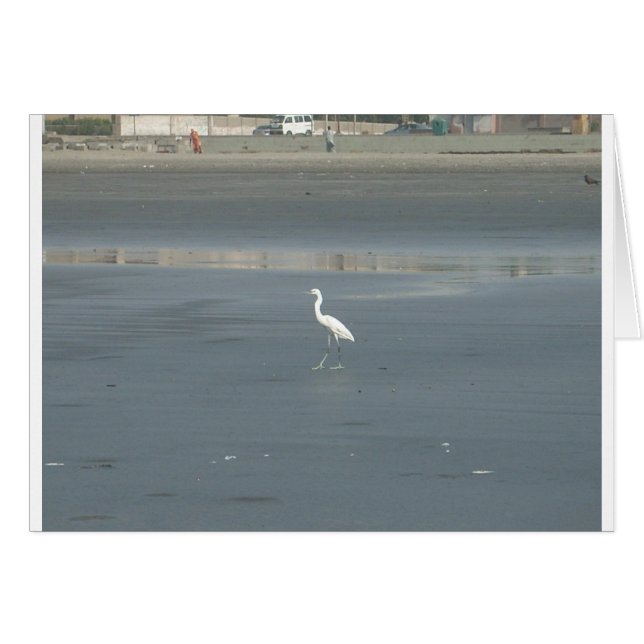 Walking solo.JPG (Front Horizontal)