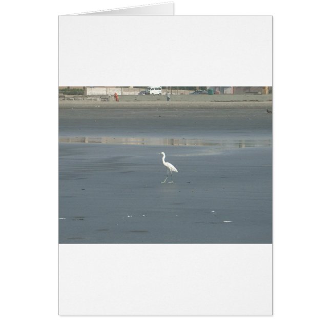 Walking solo.JPG (Front)