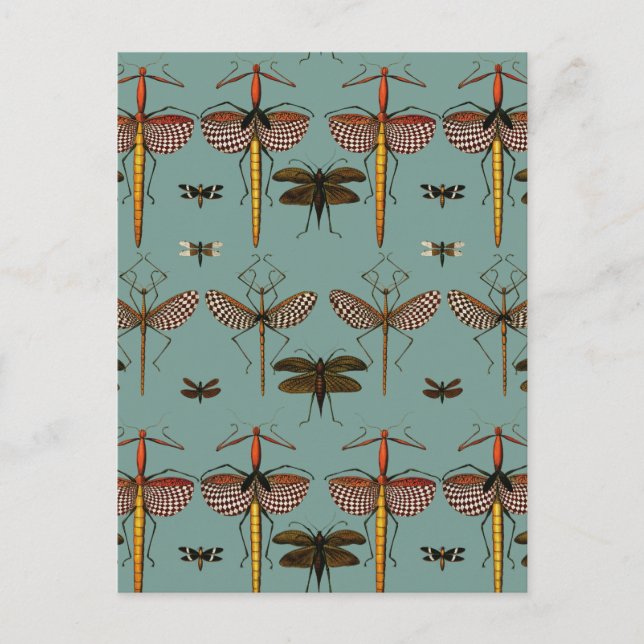 Walking sticks, Katydids and Dragonflies Postcard (Front)