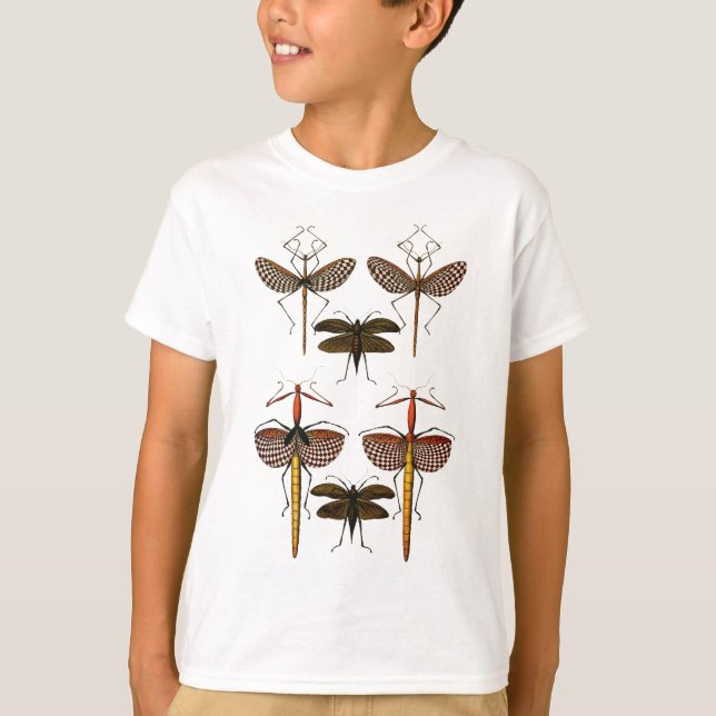 Walking sticks, Katydids and Dragonflies T-Shirt (Front)