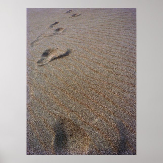 Walking the Beach Poster (Front)