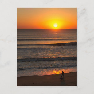 Walking The Dog OBX Postcard