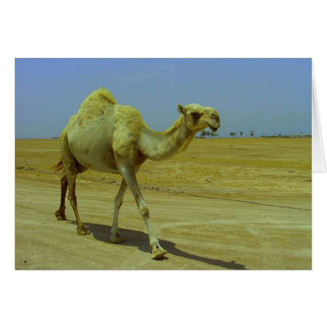 Walking the long road (Front Horizontal)