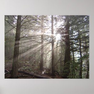 Walking through the clouds poster