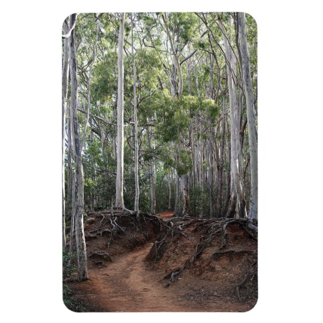 Walking Trail Photo Magnet (Vertical)