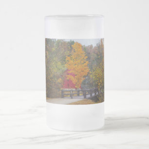 Walkway Bridge To Alley Mill Frosted Glass Beer Mug