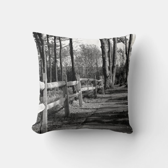 Walkway Cushion (Front)