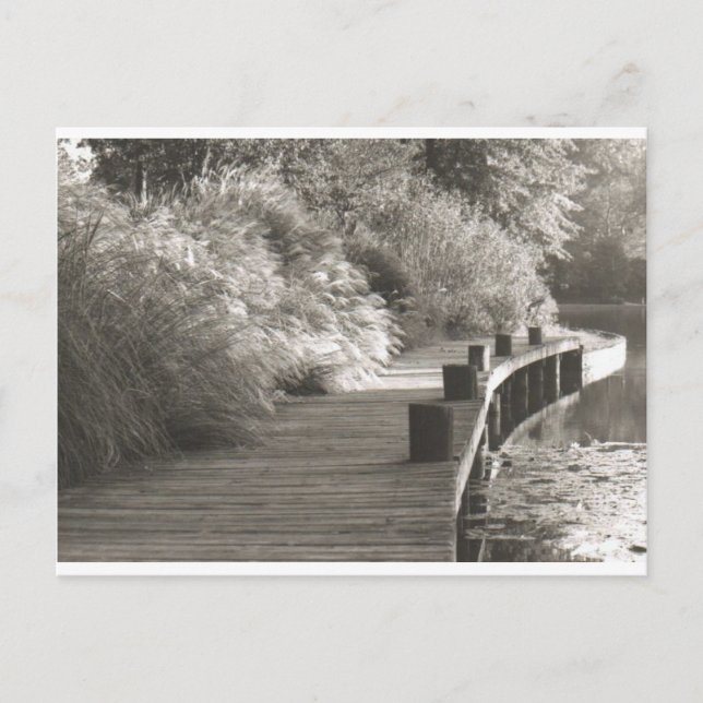 walkway.jpg postcard (Front)