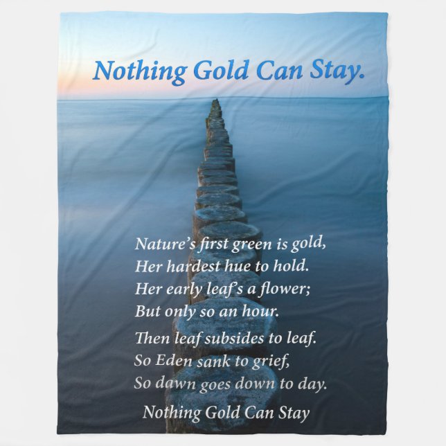 Walkway onto the ocean with wooded pillions fleece blanket (Front)