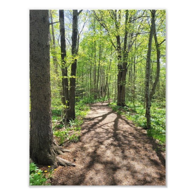 Wall Arat Photo Print (Front)