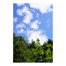 Wall Art Maple Trees Blue Sky White Clouds Nature