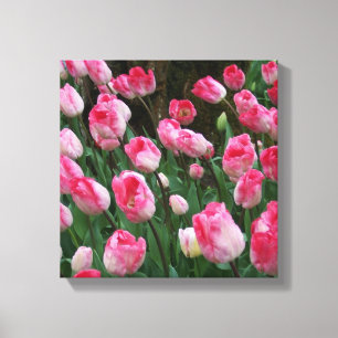 Wall Art Pink Tulips