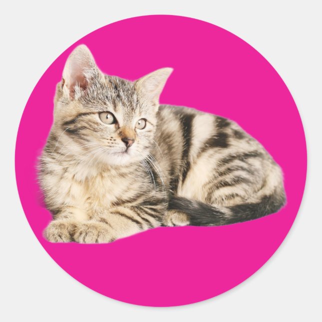 Wall art poster cat lovers classic round sticker (Front)