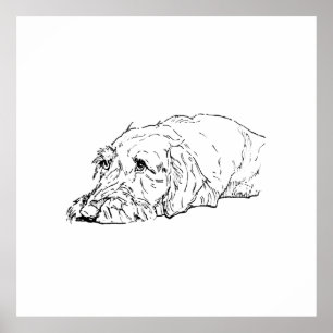 Wall Art, Wire Haired Dachshund - Cute Poster