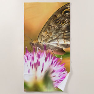 Wall Brown Butterfly Lasiommata megera Painting Beach Towel