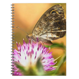 Wall Brown Butterfly Lasiommata megera Painting Notebook