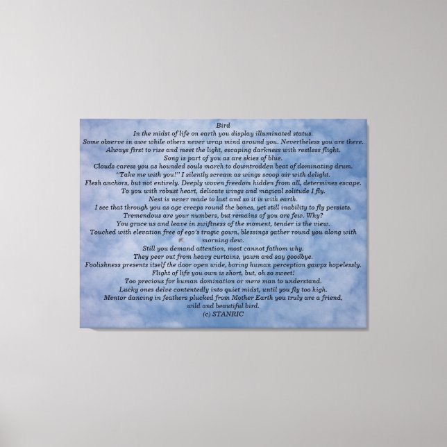  WALL CANVAS ART&DESIGN STYLE  (Front)