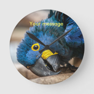 Wall clock featuring cute Hyacinth Macaw parrot