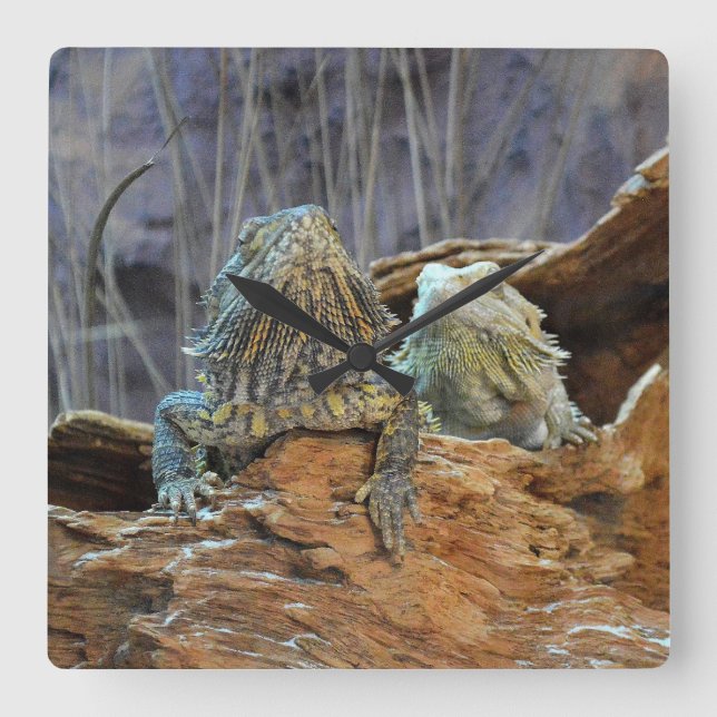 Wall Clock  with two curious lizards (Front)