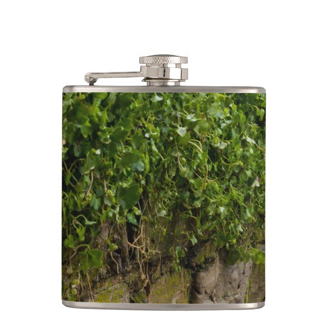 Wall Of Ivy Hip Flask (Front)