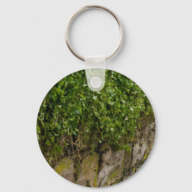 Wall Of Ivy Key Ring (Front)