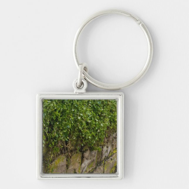 Wall Of Ivy Key Ring (Front)