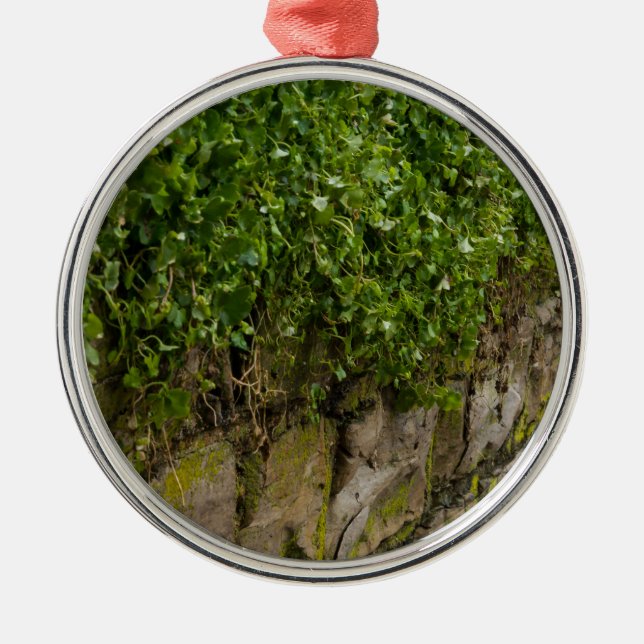 Wall Of Ivy Metal Tree Decoration (Front)