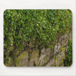 Wall Of Ivy Mouse Mat