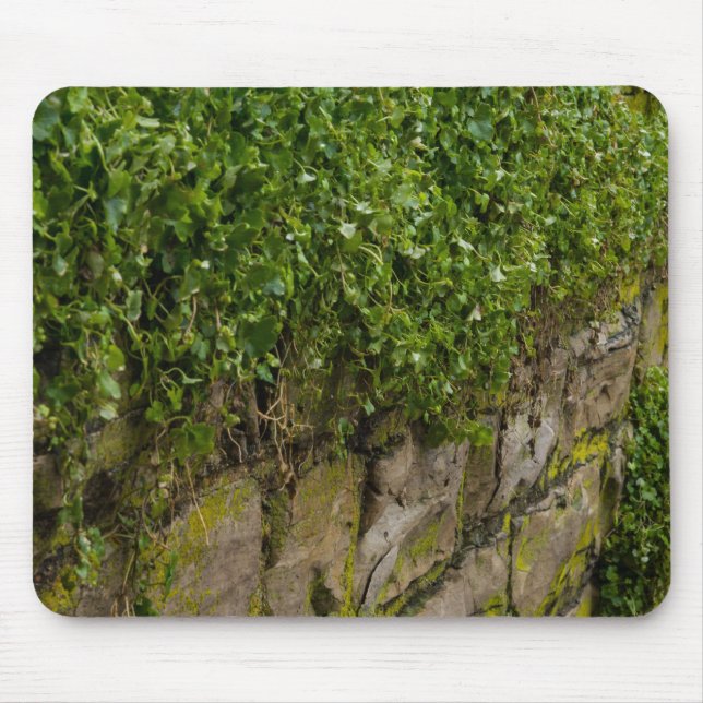 Wall Of Ivy Mouse Mat (Front)
