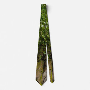 Wall Of Ivy Neck Tie