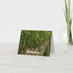 Wall Of Ivy Thinking Of You Card
