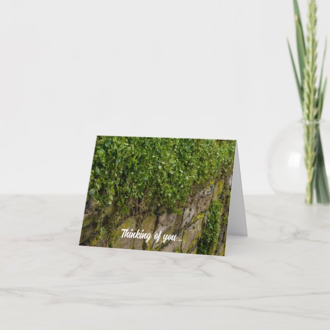 Wall Of Ivy Thinking Of You Card (Front)