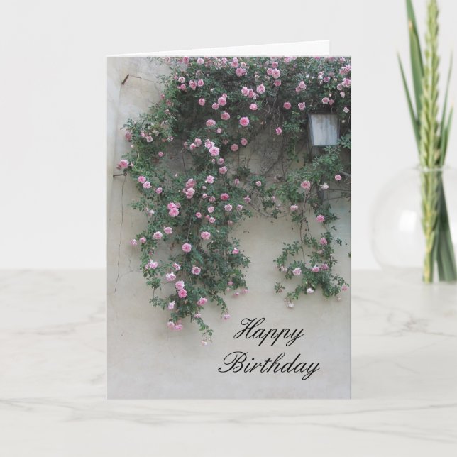 Wall of Pink Roses Card (Front)