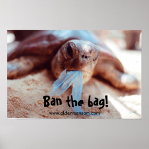 Wall Poster