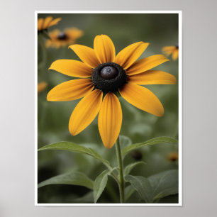 Wall Poster Beautiful Black Eyed Susan Flower