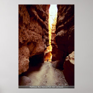 Wall Street, Bryce National Park, Utah rock format Poster