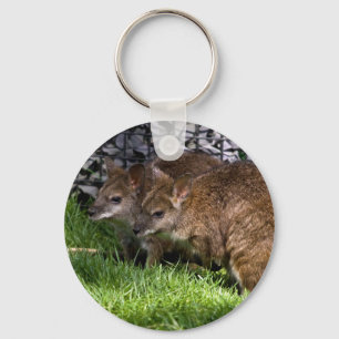 Wallabies Key Ring