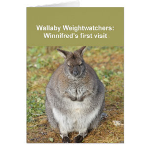 Wallaby card
