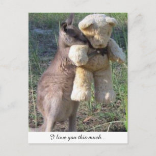 Wallaby hugging teddybear postcard love you