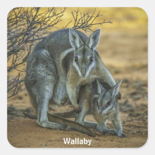 Wallaby with Baby Square Sticker