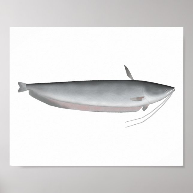 Wallago Poster (Front)