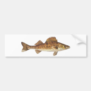 Walleye Art Bumper Sticker