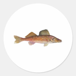 Walleye Classic Round Sticker