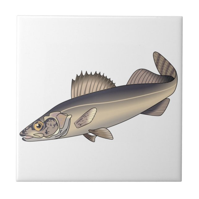 Walleye Fish Tile (Front)
