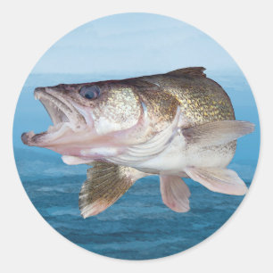 Walleye Fishing Classic Round Sticker