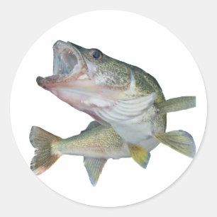 Walleye fishing classic round sticker